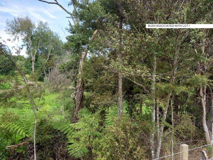 Kaiwaka-Mangawhai Road Kaiwaka_5