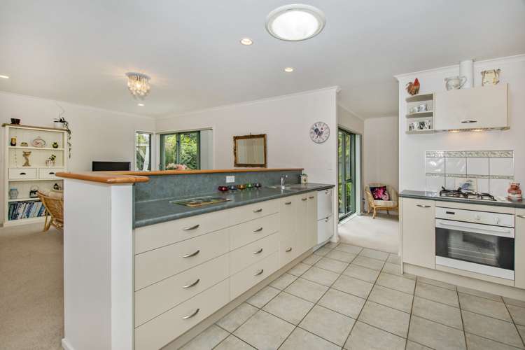 35a Mains Avenue Kensington_10