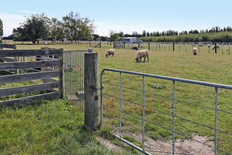 33 Panapa Road Waipatu_8