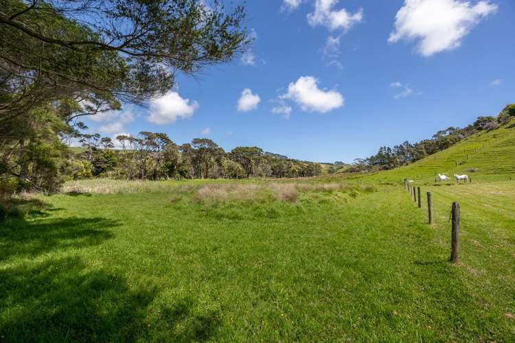 463 Fordyce Road Helensville_39