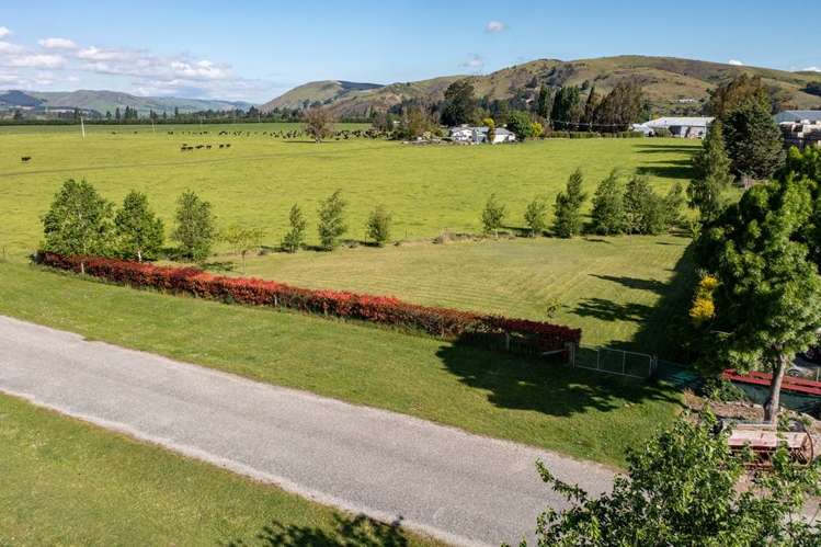 Domain Road Ettrick_10