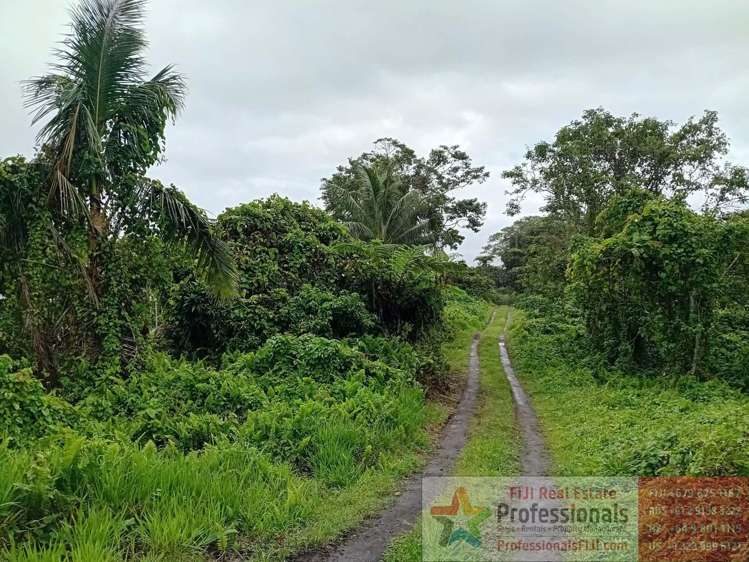 Address withheld Taveuni_22