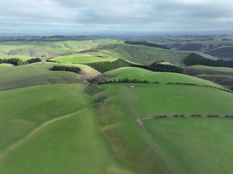 174 Mcculloch Road Balclutha_23