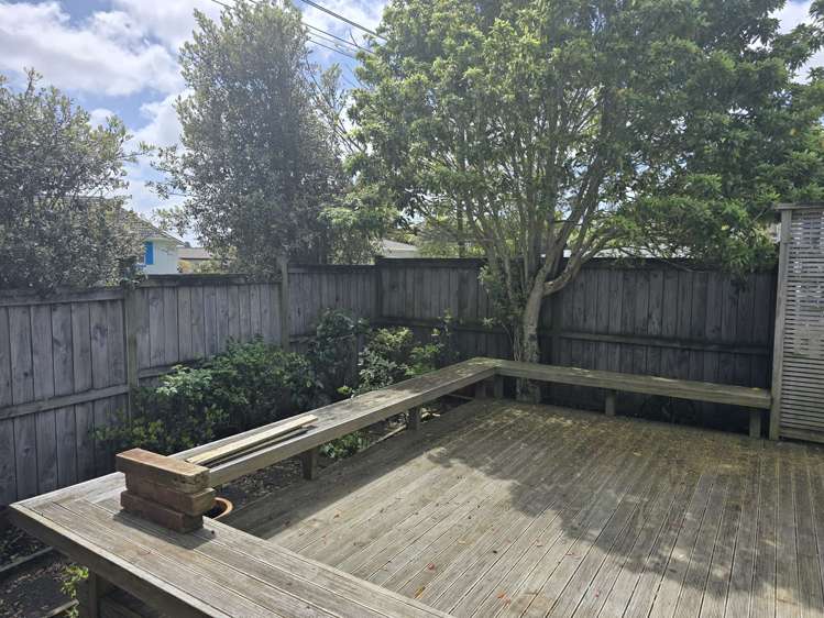 20 Penney Avenue Mount Roskill_6