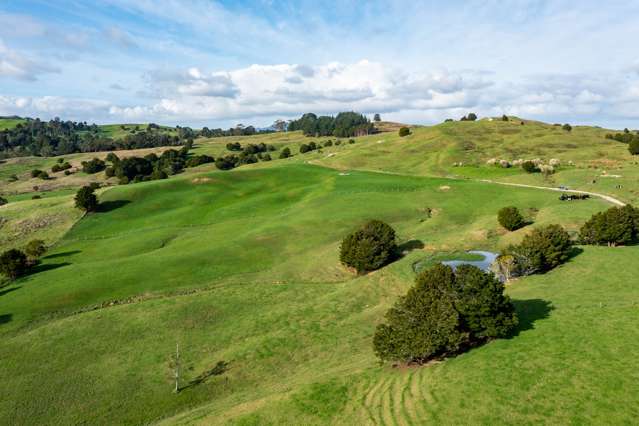 184 Tangowahine Valley Road Dargaville Surrounds_2