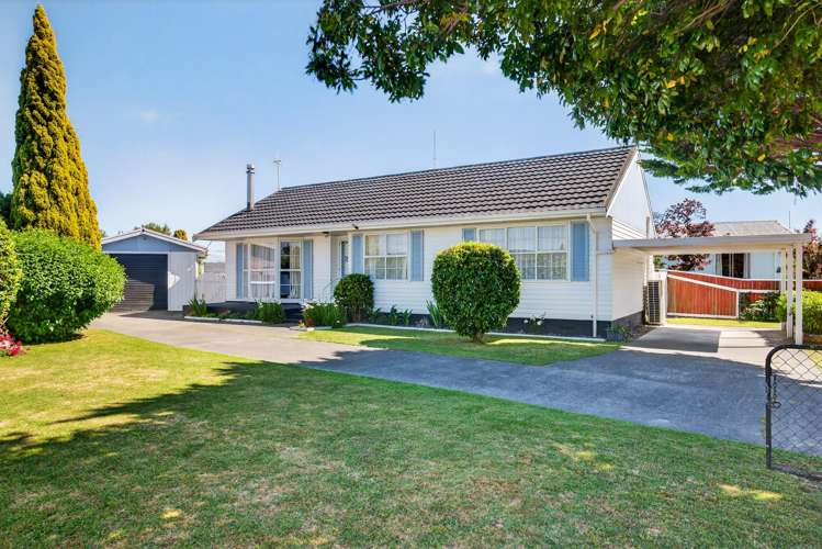 20 Norfolk Street Tamatea_16