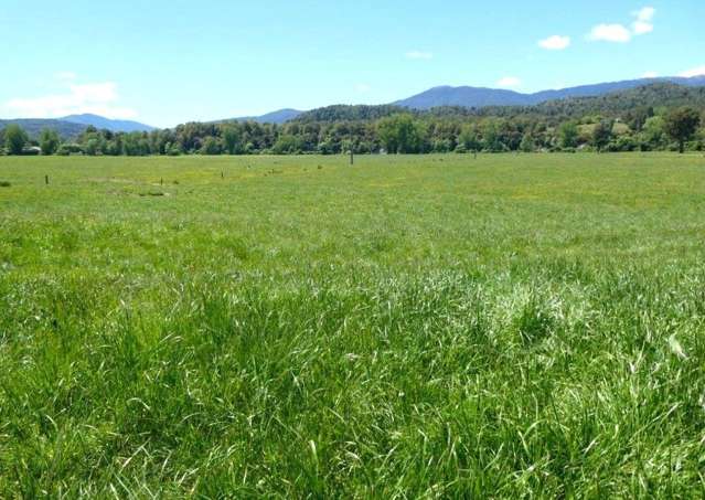 3061 State Highway 69 Inangahua_3