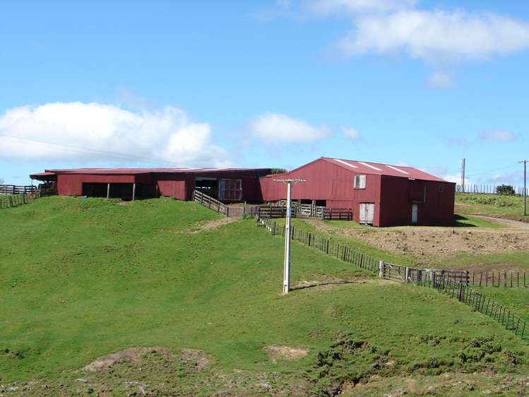 Mahoe Road Waitomo_14