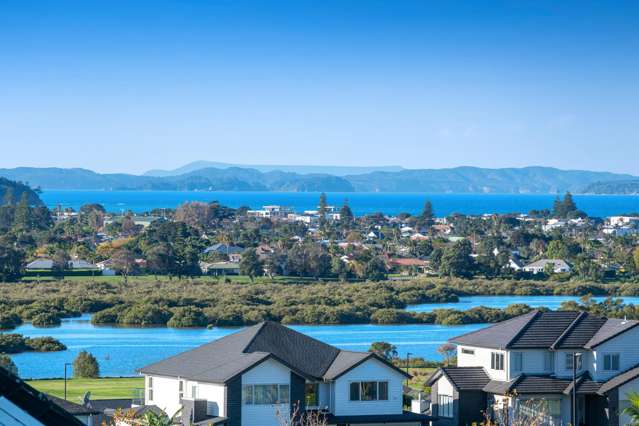 Vendor Meets the Market - Must be Sold!