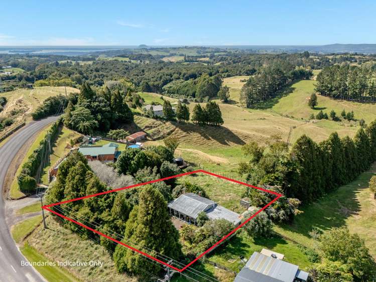 807 Whakamarama Road Whakamarama_11