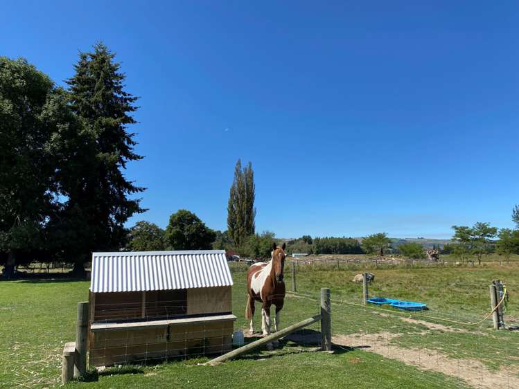 139 Nixons Road Fairlie_23