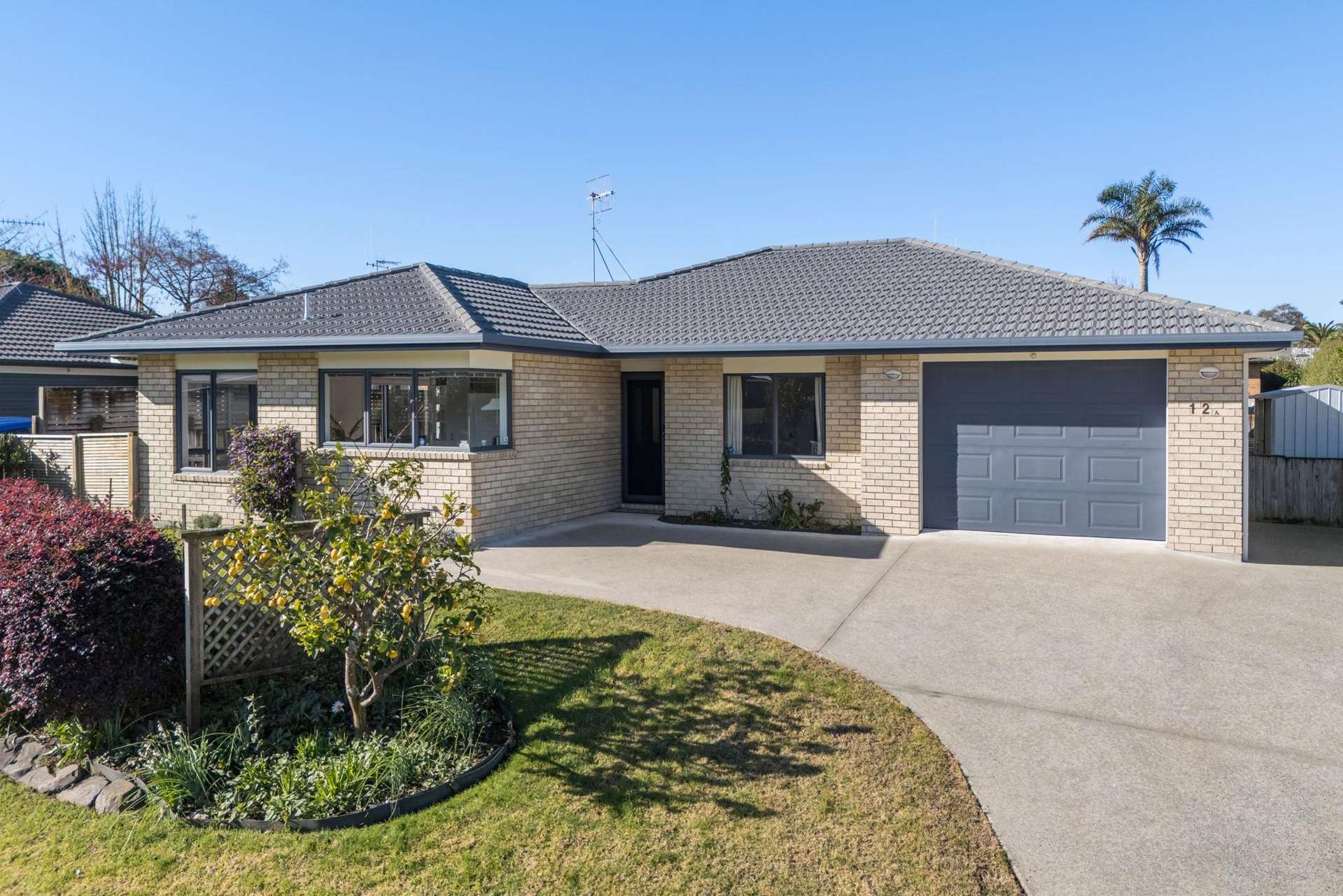 12A Blundell Place Katikati_0
