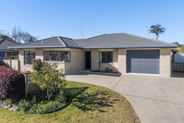 12A Blundell Place Katikati_0
