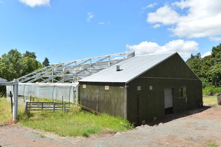 698 Ngunguru Road Glenbervie_5