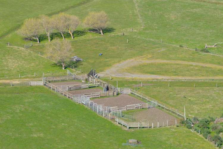 526 Lake Road Himatangi_13