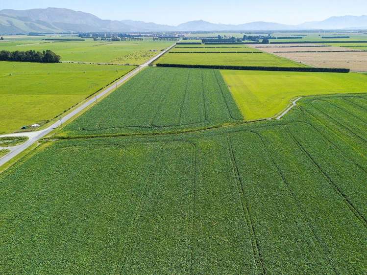 1710 Ealing Montalto Road Ashburton_25