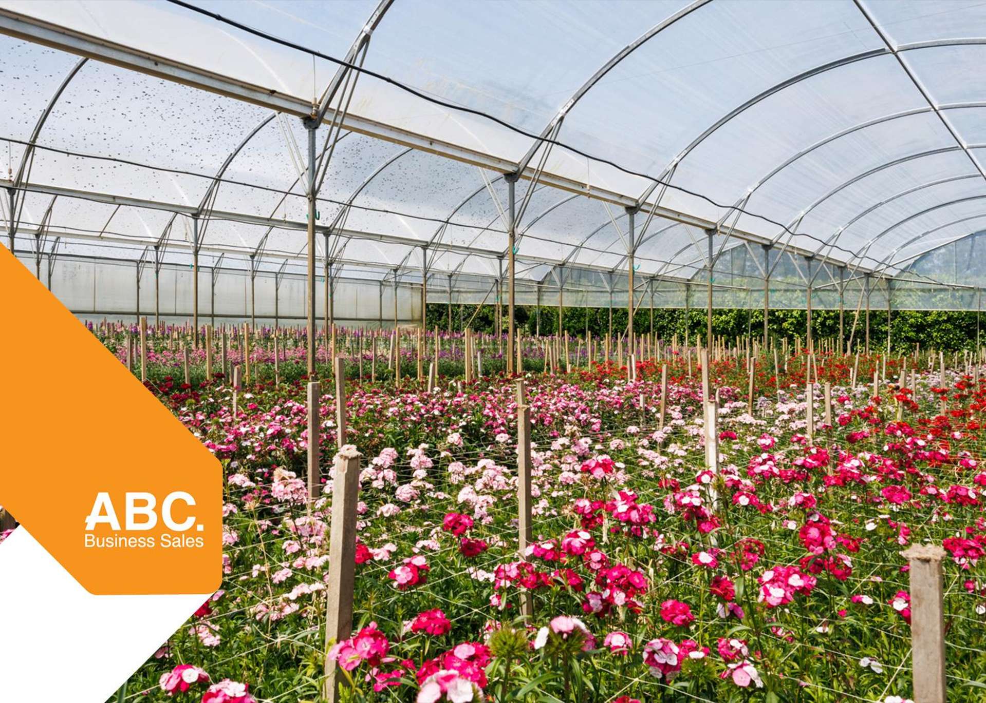 Address withheld Palmerston North_0