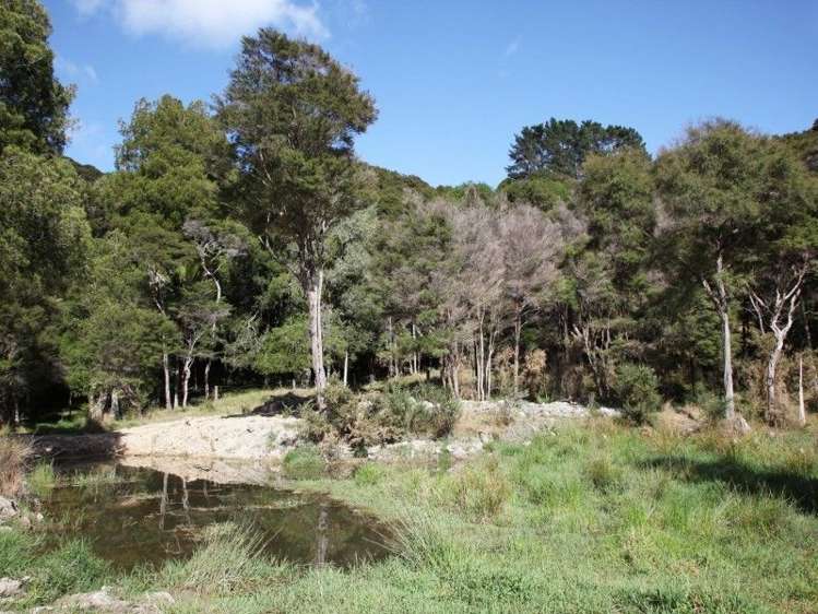 390 Monument Road Clevedon_5