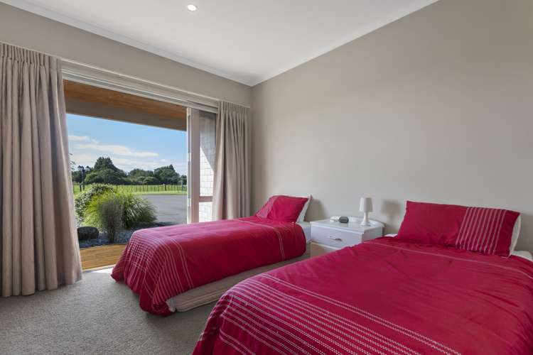 8 Pitt Road Hillsborough_16