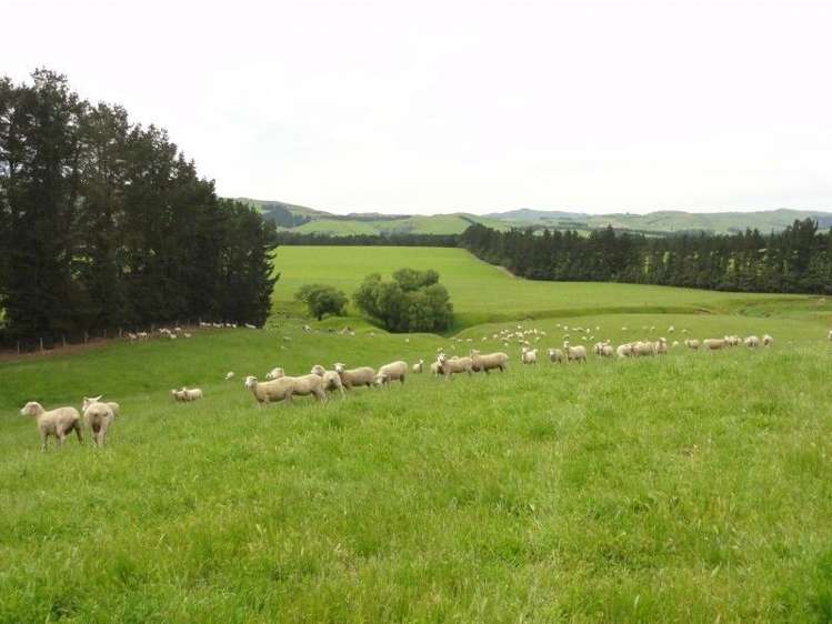 573 Glenmark Drive Waipara_6