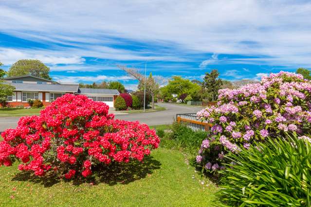 42 Leefield Street Blenheim Central_3