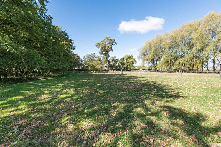 155 State Highway 2 Otane_24