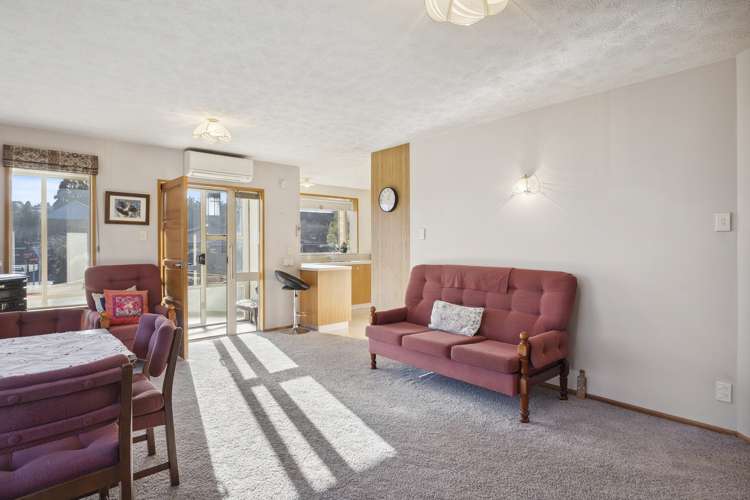 32c Shand Street Green Island_10