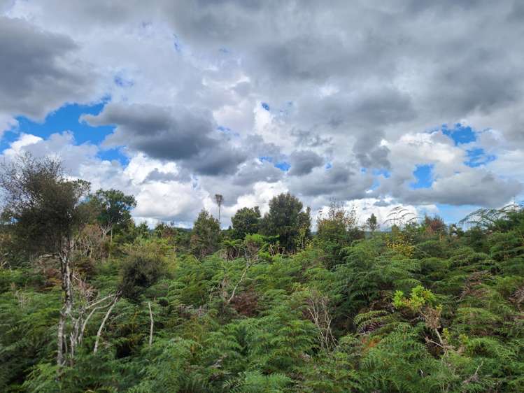 240 Maori Creek Road Marsden_7