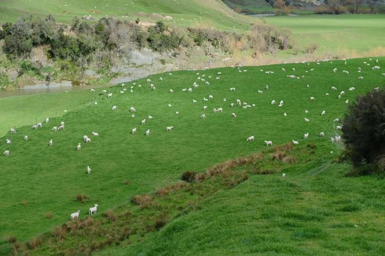63 Hamilton Road Dannevirke_26