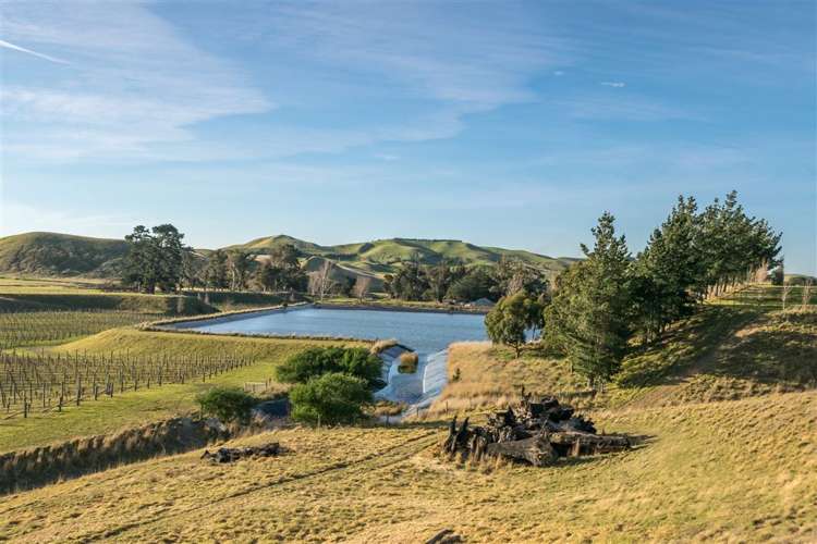 5468 State Highway 1 Seddon_1