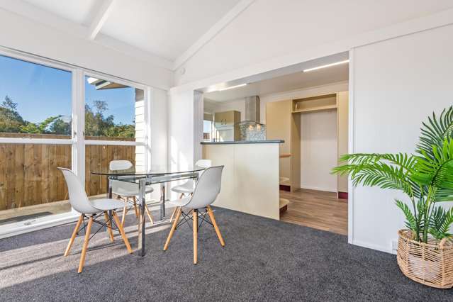 22 Wyndham Street Ashhurst_4