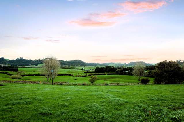 Waitawheta Road Waihi_1