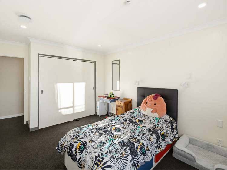 77 Avondale Road Taradale_12
