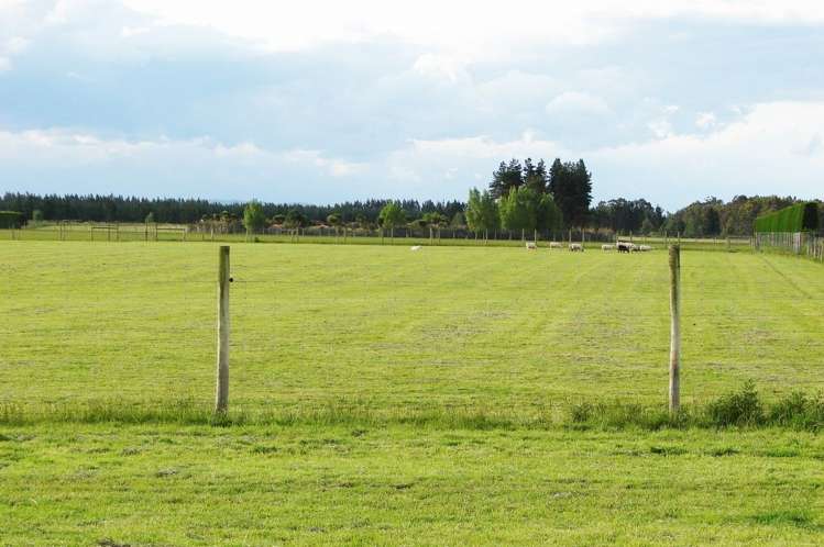 389 Mckenzie Road Winton Surrounds_15