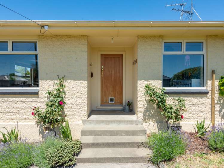 77 Havelock Street Renwick_24