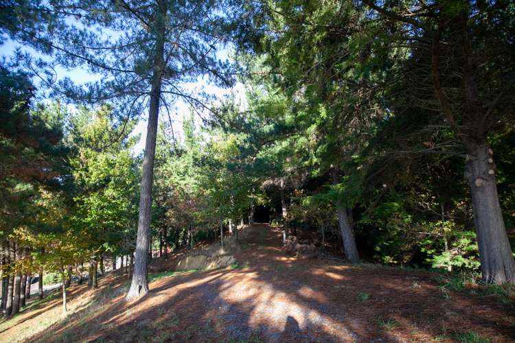 75 Pine Hill Road Ruby Bay_9