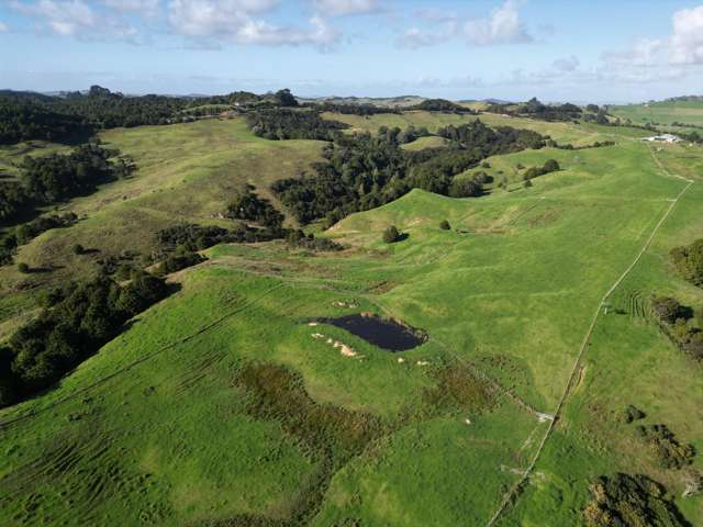 583 Lusk Road Ruawai_2