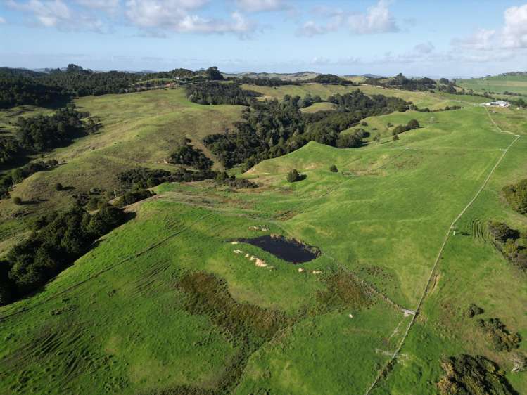583 Lusk Road Ruawai_2