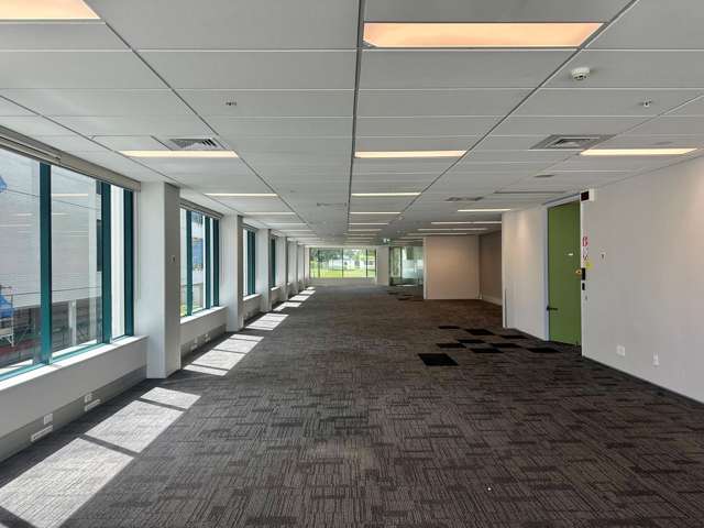 101 Carlton Gore Road Newmarket_1