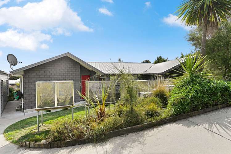 637 Picquet Hill Road Te Awamutu_1