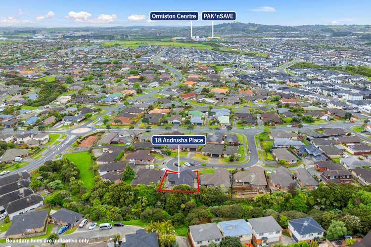 18 Andrusha Place Flat Bush_10