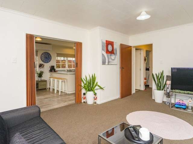 61a Manawatu Street 2138_3