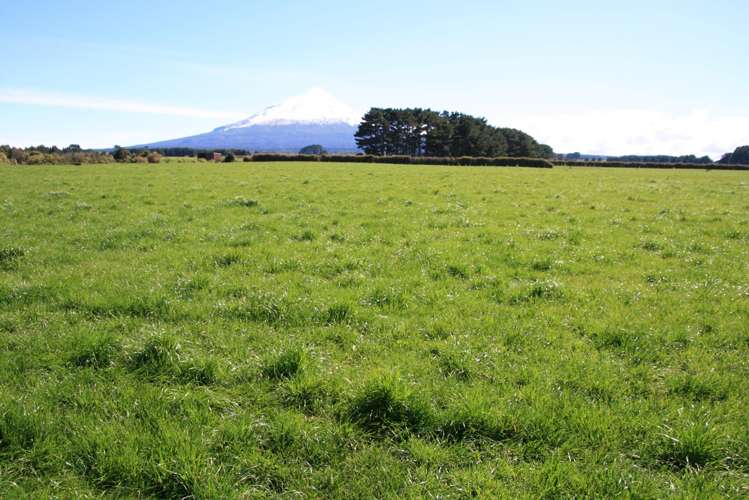 1430 Eltham Road Kaponga_26