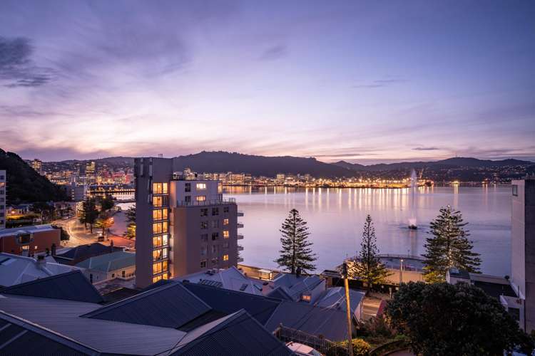 4 Baring Street Oriental Bay_1