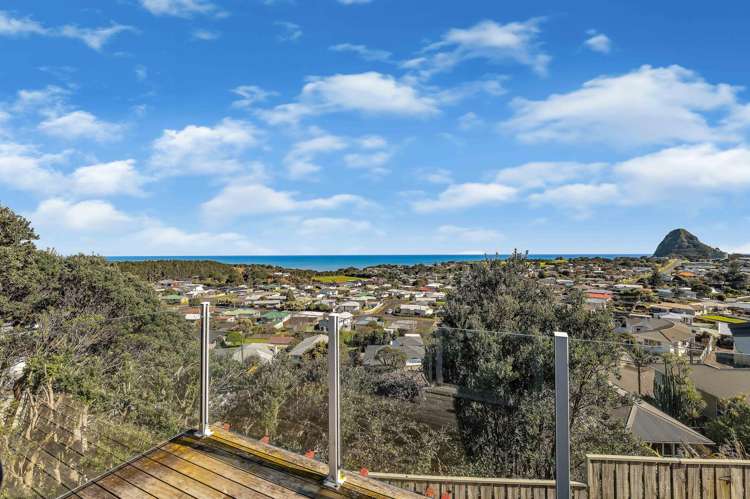 15a Crownhill Street_5