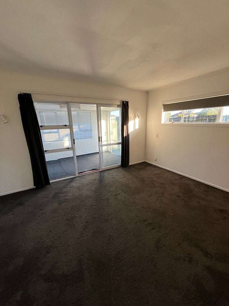 6 Freer Street Mount Roskill_8