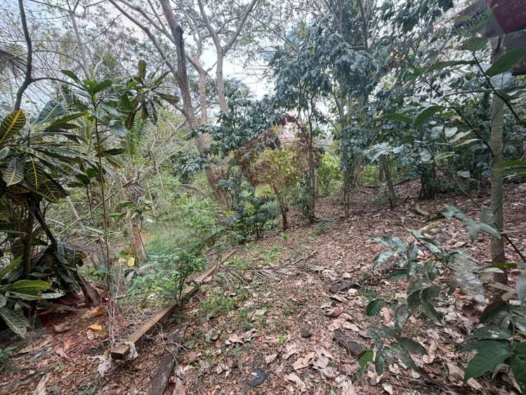 Address withheld Savusavu_30