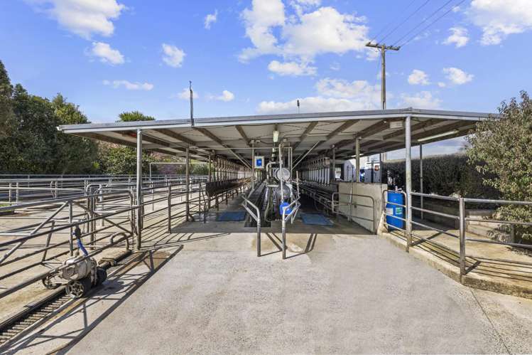 2085a-B Old Taupo Road Putaruru_5