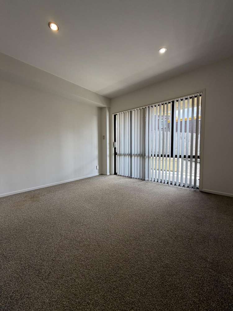 3 Katavich Place Mount Roskill_5