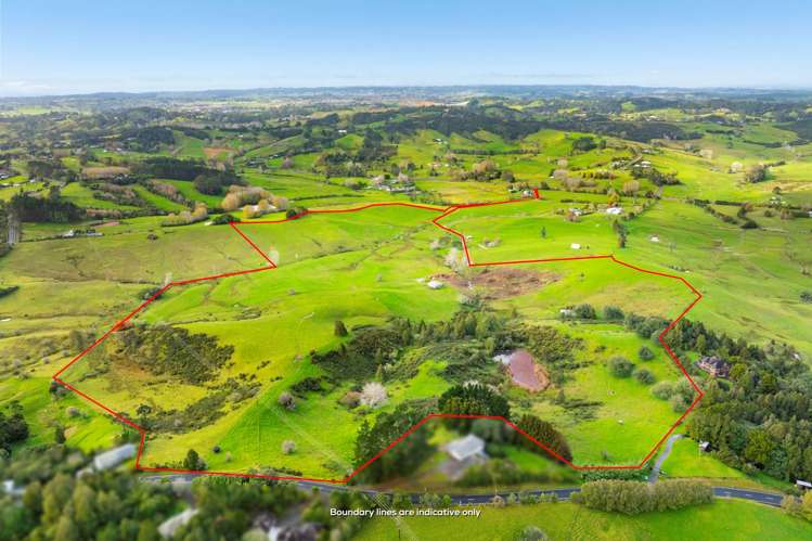 462 Kahikatea Flat Road_4